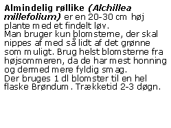 Tekstfelt: Almindelig rllike (Alchillea millefolium) er en 20-30 cm hj plante med et findelt lv. Man bruger kun blomsterne, der skal nippes af med s lidt af det grnne som muligt. Brug helst blomsterne fra hjsommeren, da de har mest honning og dermed mere fyldig smag.Der bruges 1 dl blomster til en hel flaske Brndum. Trkketid 2-3 dgn.